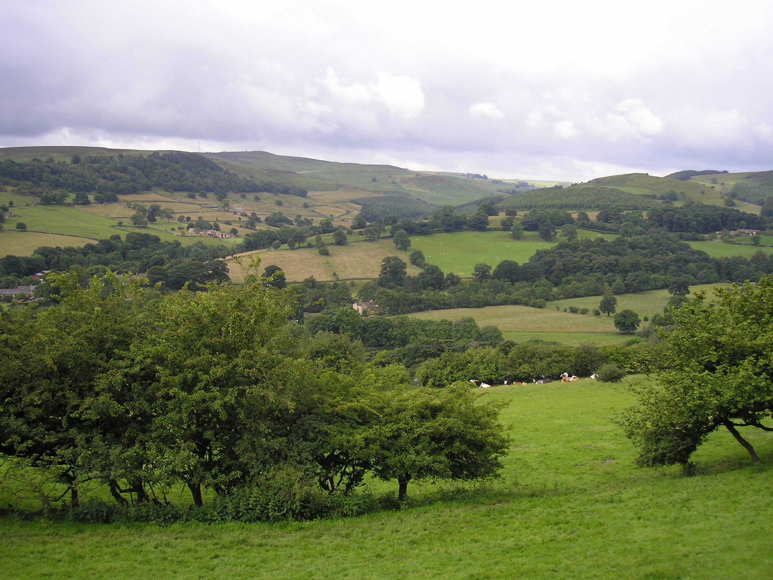 Derbyshire